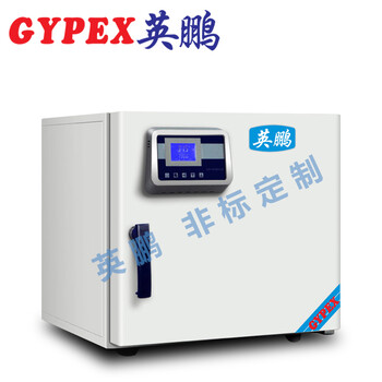 英鵬實驗室電熱恒溫干燥箱YPHX-70GPF（可定做）