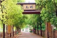 上海嘉定毛桥集市拓展训练基地、拓展训练、企业团队建设、休闲娱乐