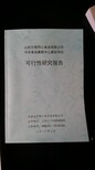 德州当地写微观经济指标分析报告可以做融资报告的公司图片3