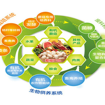 枞阳县写资金申请报告的公司