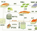 费县去哪做可行性报告可研报告图片