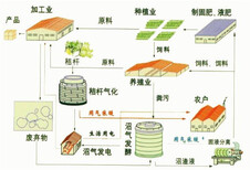 红原县写可行性研究报告/立项报告的公司图片3