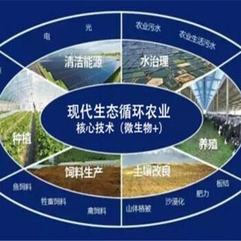 阆中市代办可研报告-代做节能评估报告