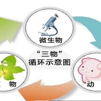 潢川县做可行性报告模板-做可行性报告