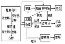 图片0