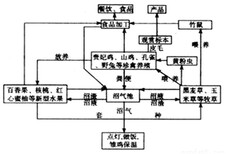 红河本地标书公司-本地做标书图片4