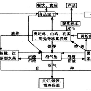 沈阳写可行性报告-能写可行性报告的公司