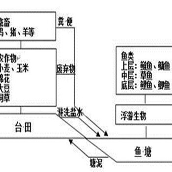 武宣县做项目初步规划-做项目可研的公司