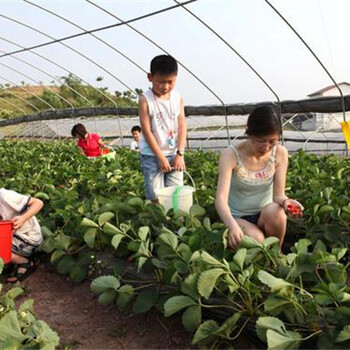 绥中县做可行性报告模板-做可行性报告