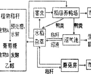 图片0