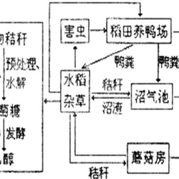 中方县写资金申请报告-写申请报告