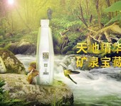 喜迎芜湖2018天地精华瓶装水桶装水优惠大活动欢迎新老客户购买水票