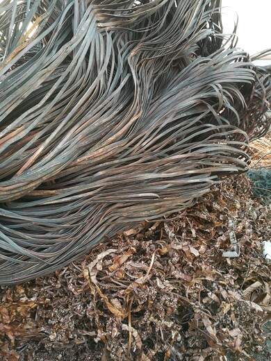盐城耐火电缆多少钱一吨紫铜管回收