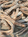汉沽5x16电缆回收今日报价 紫铜豆回收