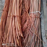 鹤壁光伏工程150电缆回收图片5