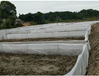 厂家出售蟾蜍养殖围网结实耐用养殖专用纱网