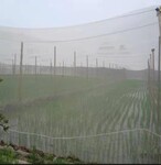 猪场防蚊蝇纱网价格全新料防虫网规格齐全防虫网厂家