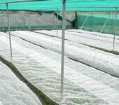 结实豆虫养殖网定做豆丹防虫网全新料耐用五年好纱网