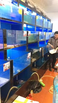 廣州海鮮魚池定制、海珠海鮮魚池設(shè)計(jì)、海珠餐廳海鮮魚池、海珠商場(chǎng)海鮮魚池