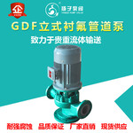 GDF型立式衬氟管道泵立式化工泵耐腐蚀管道泵