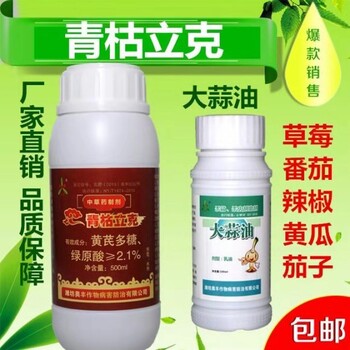 新版治療辣椒根腐病的殺菌劑青枯立克大蒜油