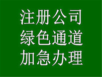 办理公司注销需要什么材料图片2