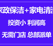 家政保洁+家电清洗加盟_洁一号家政