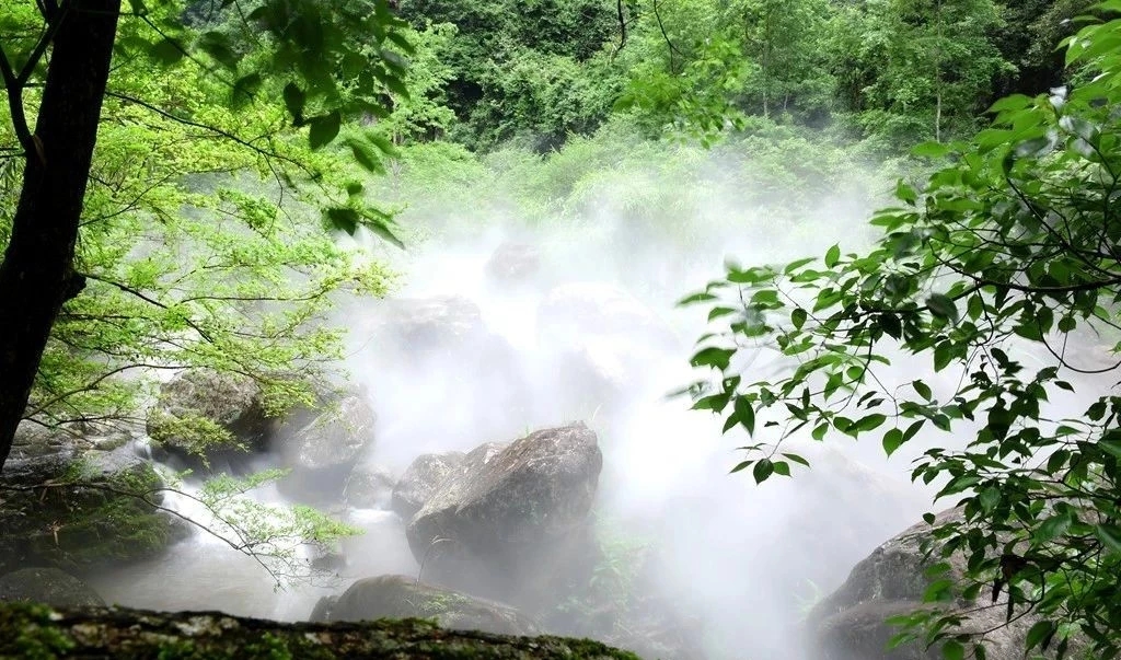 安阳雾森主机厂家