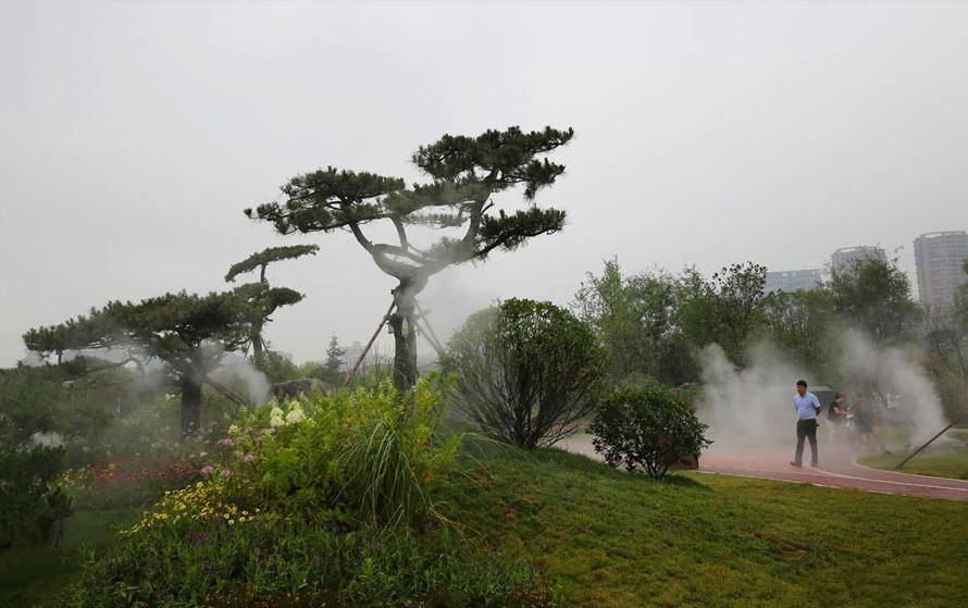 济源小区雾森