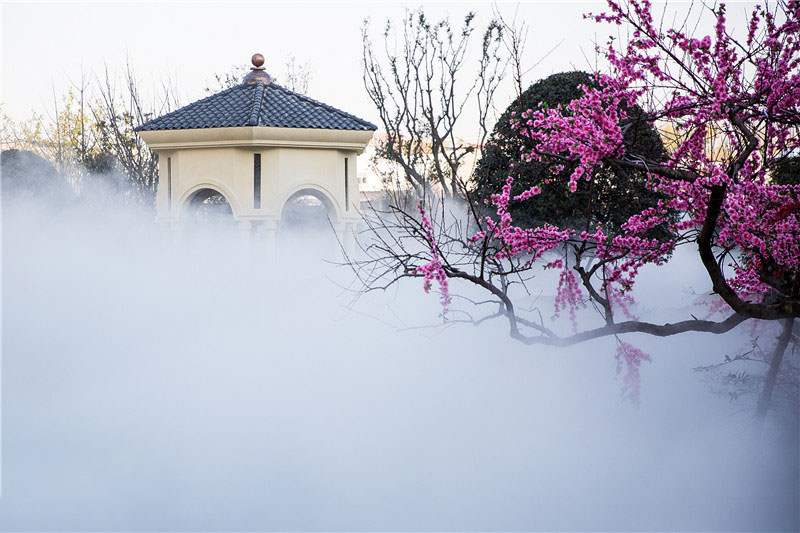 莱芜小区雾森