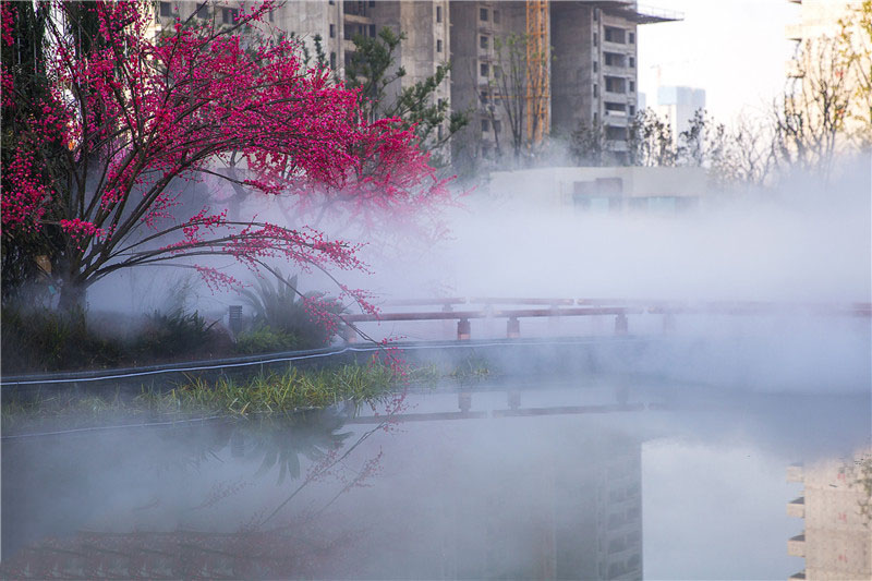 小区雾森