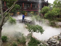 温州园林人工造雾图片3
