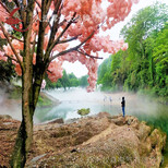 牧森景观造雾,桂林景区景观人造雾机图片1