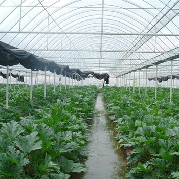 蔬菜育苗温室大棚建造厂商、承包建造蔬菜育苗温室大棚、育苗温室造价