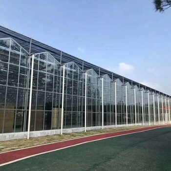 雙層中空玻璃智能溫室建設(shè)、智能玻璃溫室造價(jià)-利廣