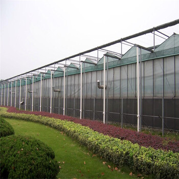 现代智能温室大棚建设特点-农业休闲温室模式-智能温室造价-温室工程
