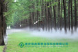 售楼部景观喷雾造景，贵州喷雾系统，重庆景观喷雾，昆明喷雾造景，专业喷雾系统