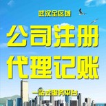 斯瑞财税公司注销,青山代理记账注册公司流程及费用图片5