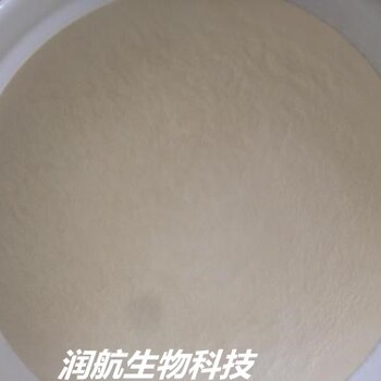 琼脂粉样品供应，培养基琼脂粉，食品级琼脂粉