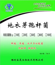 养殖场畜禽用地衣芽孢杆菌山东益昊生物地衣芽孢杆菌厂家图片
