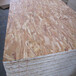 OSB欧松板（定向结构刨花板）桦木面9mm
