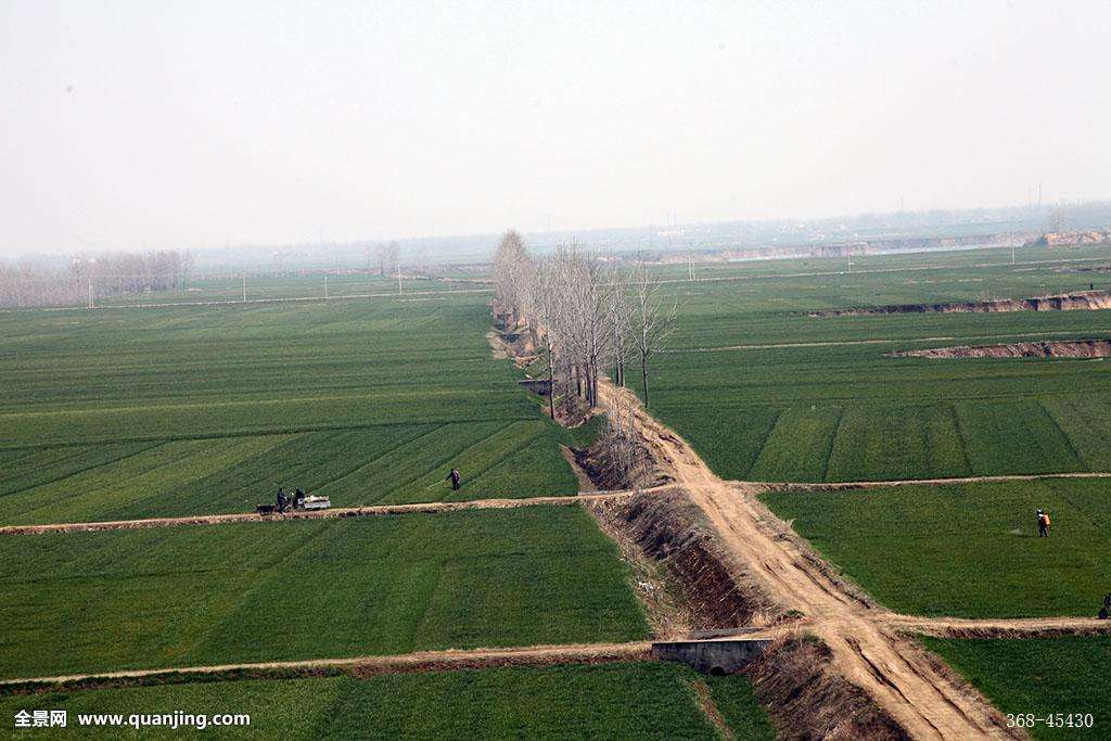 九龙坡土地出租山东民泰