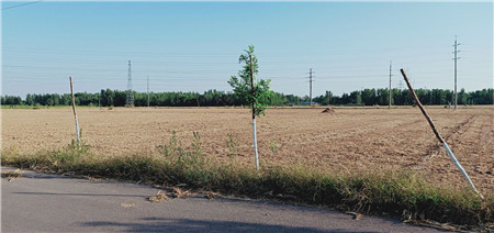 镇江价格农村用地