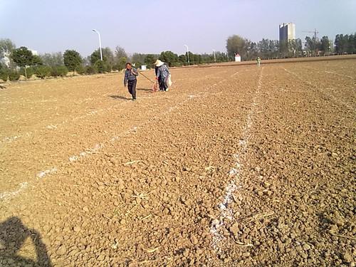 新乡土地肥沃交通便利山东民泰