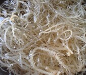 澳洲进口棉籽壳报关需要办理哪些手续？