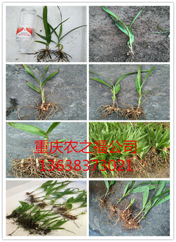 1534730518035287100-0.jpg@4e_1c_350w_350h_90Q|watermark=1&t=50&object=d2F0ZXIucG5nQDMwUA