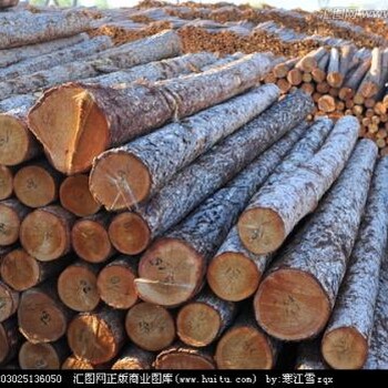 东南亚木材进口海关估价