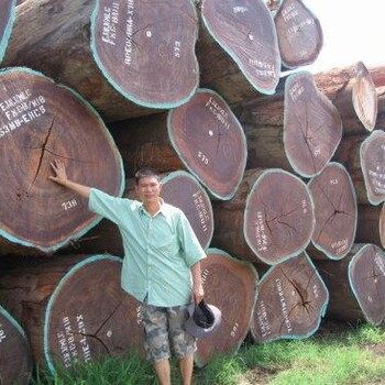 巴西木材进口代理