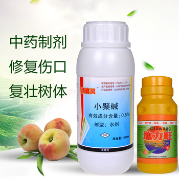 櫻桃流膠病用什么藥?櫻桃流膠病發(fā)病原因及防治措施