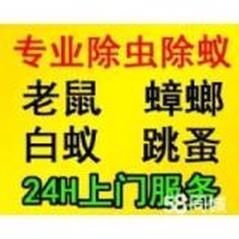 广州白云区灭白蚁、灭治蟑螂服务除四害、灭鼠价格优惠